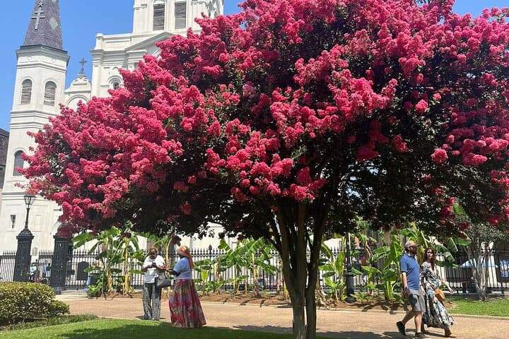 French Quarter Sights & Stories — Historic Walking Tour in New Orleans