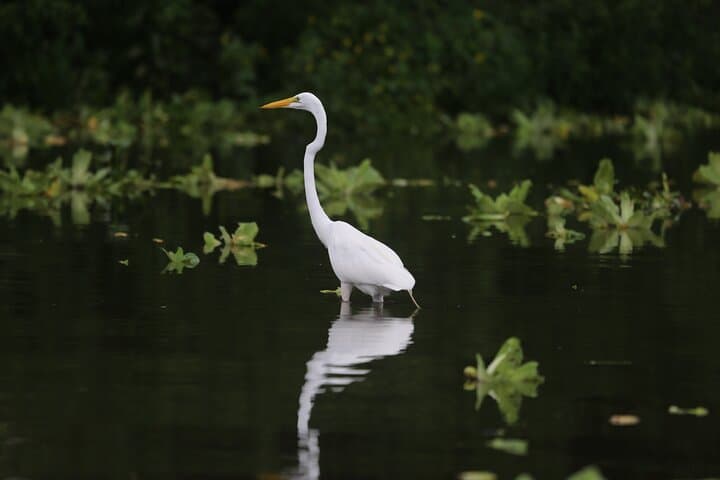 Granada Islets Boat Tour — Morning & Sunset Cruises on Lake Nicaragua photo 5
