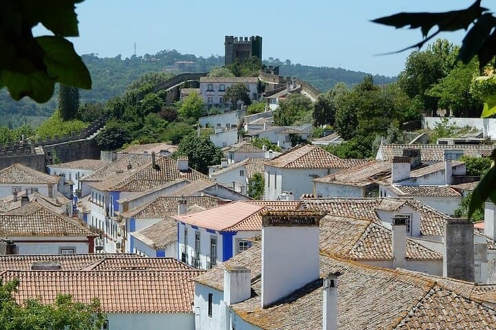 Lisbon-to-Porto Private Transfer with Two Sightseeing Stops photo 6