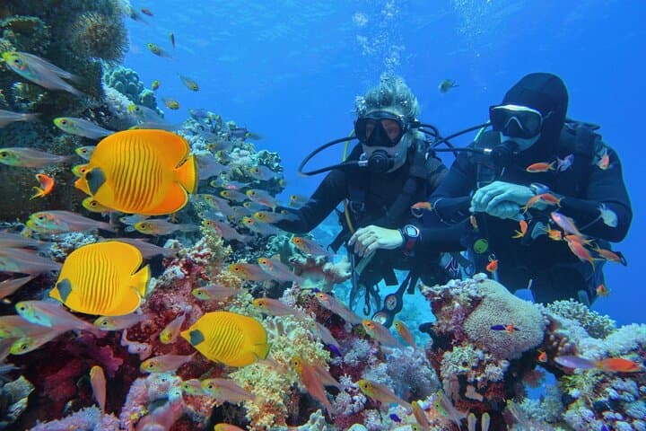 Marsa Mubarak Snorkeling, Intro Dive & Lunch — Full-Day Red Sea Boat Trip