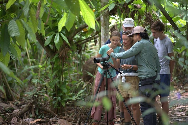 Arenal Sloth & Wildlife Nature Walk: Guided Safari Near La Fortuna photo 3