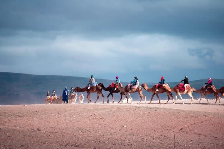 Agafay Desert Quad Bike and Camel Ride with Evening Dinner Show from Marrakech