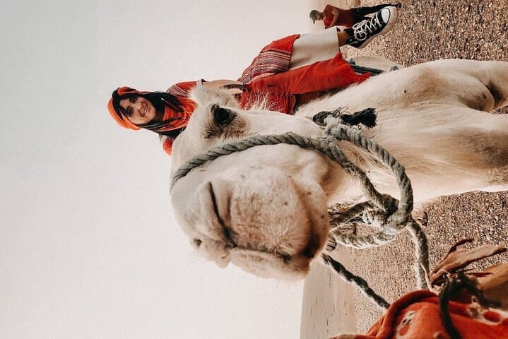 Agafay Desert Quad Bike and Camel Ride with Evening Dinner Show from Marrakech photo 6