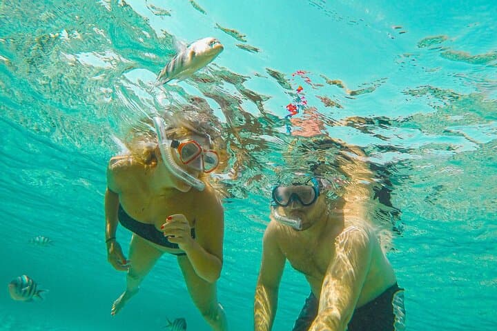 Private Half-Day Yacht Charter in Curaçao — Sail, Snorkel & Shore Lunch photo 4