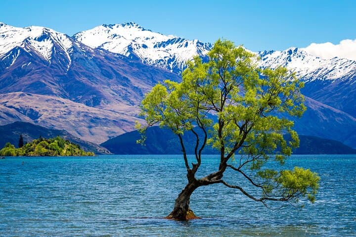Three-Day Private Explorer: Queenstown, Glenorchy, Wanaka & Lake Tekapo photo 3