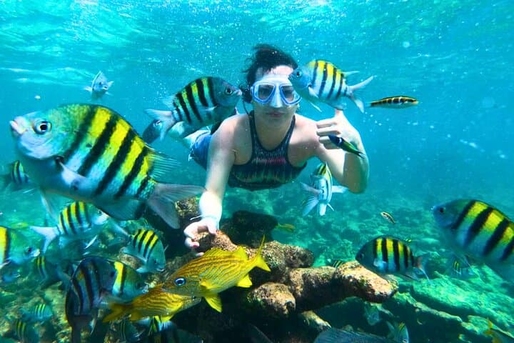 Rosario Islands Boat Tour from Cartagena: Snorkel, Forts & Beach Lunch