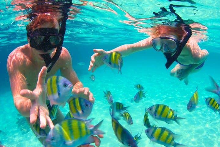Rosario Islands Boat Tour from Cartagena: Snorkel, Forts & Beach Lunch photo 5