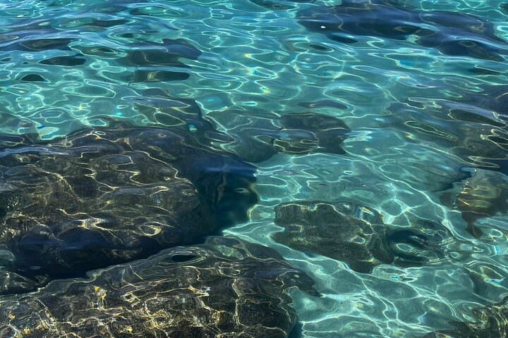 Clear Kayak at Sand Harbor: Paddle Above Tahoe's Underwater World photo 6