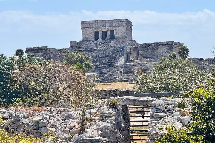 Tulum Two Cenotes & Authentic Taco Adventure — Private Day Tour