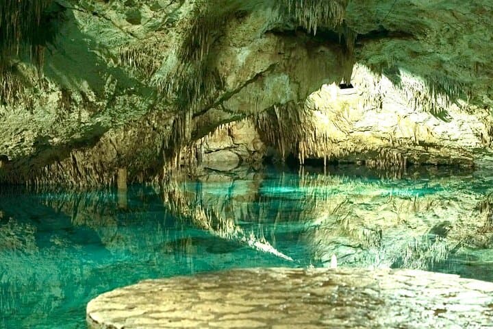 Tulum Two Cenotes & Authentic Taco Adventure — Private Day Tour photo 5