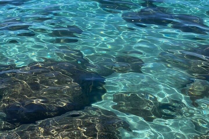 Clear Kayak Tour on Lake Tahoe from Stateline, NV photo 3