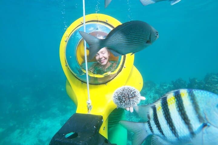 Scuba-Doo Scooter Punta Cana: Underwater Scooter & Snorkel Reef Tour