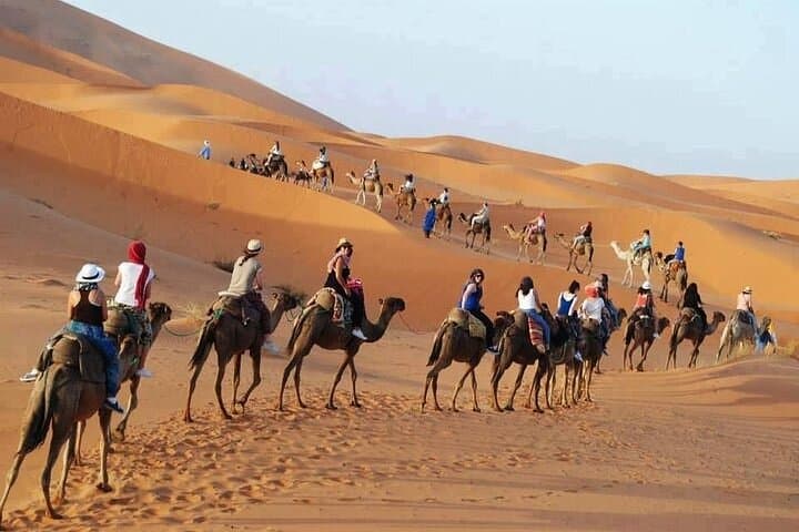 Luxor West Bank Horse and Camel Desert Camp Experience