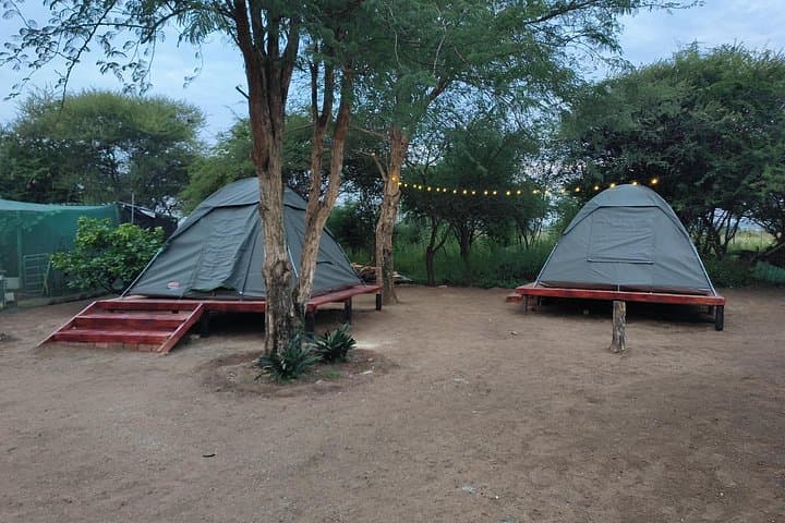 2-Day Pilanesberg Camping Safari: Big Five on a Budget from Johannesburg photo 2