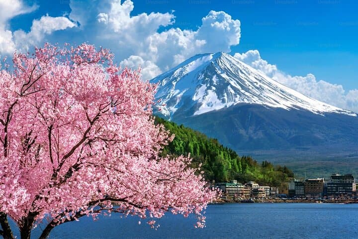 Mt Fuji Carpool Day Tour: Arakurayama, Oishi Park & Oshino Hakkai from Tokyo photo 2