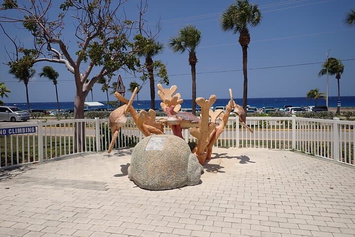 Explore Grand Cayman's Turtle Centre, Stingray City & Starfish Point: Half-Day Snorkel Adventure photo 3