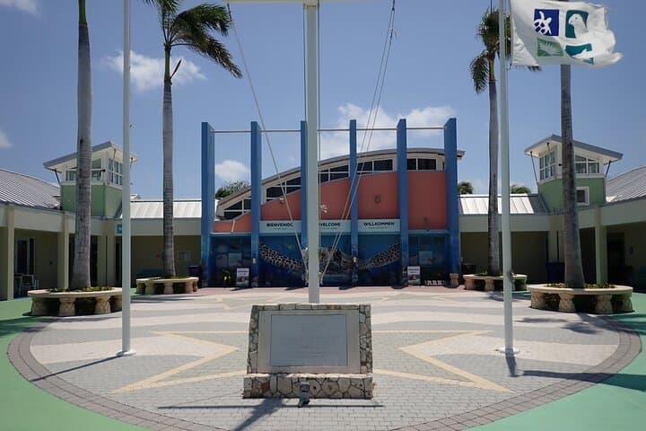 Explore Grand Cayman's Turtle Centre, Stingray City & Starfish Point: Half-Day Snorkel Adventure