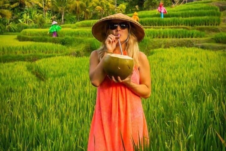 Customize a North Bali Day: Munduk Waterfalls, Temples & Rice Terraces
