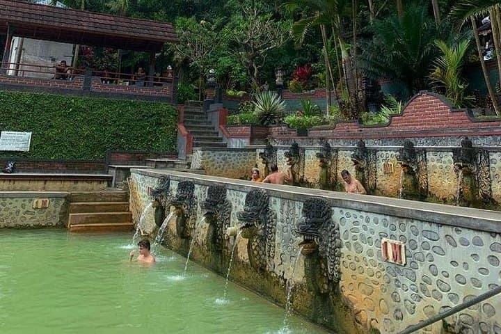 North Bali Shore Excursion from Celukan Bawang — Lovina, Waterfalls & Ulun Danu Day Tour photo 4