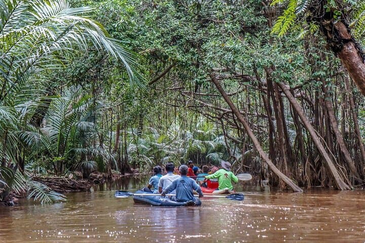 Paddling the Little Amazon: Mangrove Canoeing from Khao Lak to Takua Pa