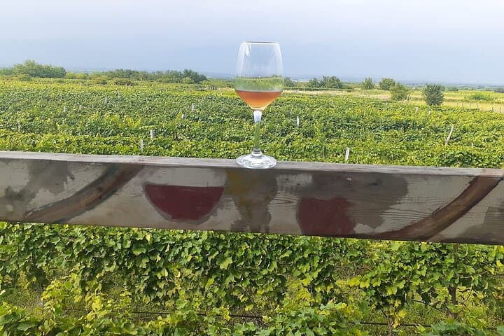 Kutaisi Guided Day Tour: Prometheus Cave, Martvili Canyon & Wine Tasting photo 2