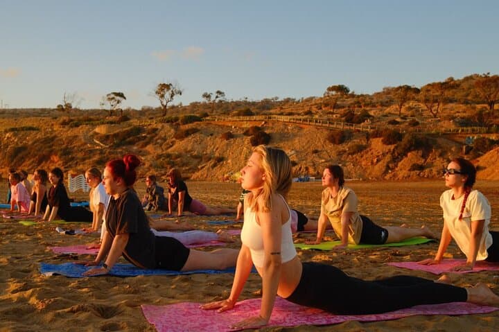 Surf & Stay Tamraght: 7-Night Surf Coaching Retreat Near Agadir photo 5