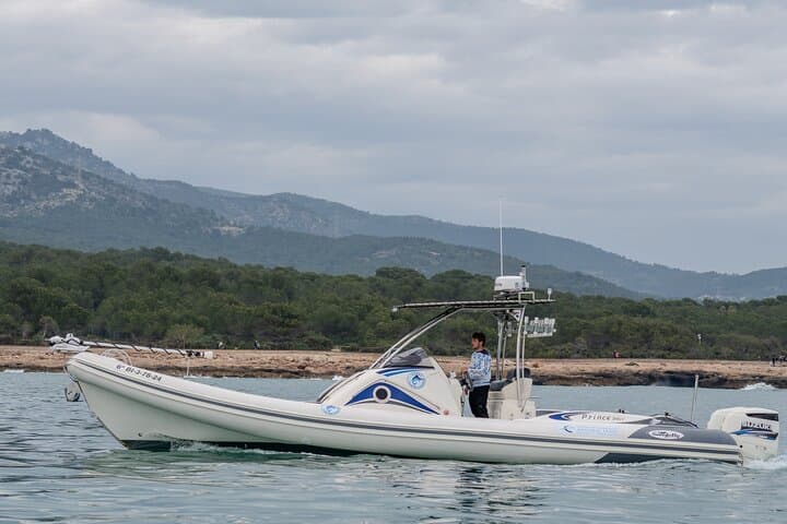 Private Snorkel Charter from Alcossebre to Peñíscola – 3-Hour Coastal Cruise photo 3