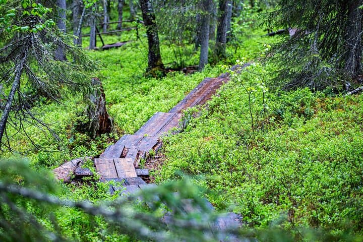 Korouoma Canyon & Auttiköngäs Waterfall Photography Hike from Rovaniemi photo 4