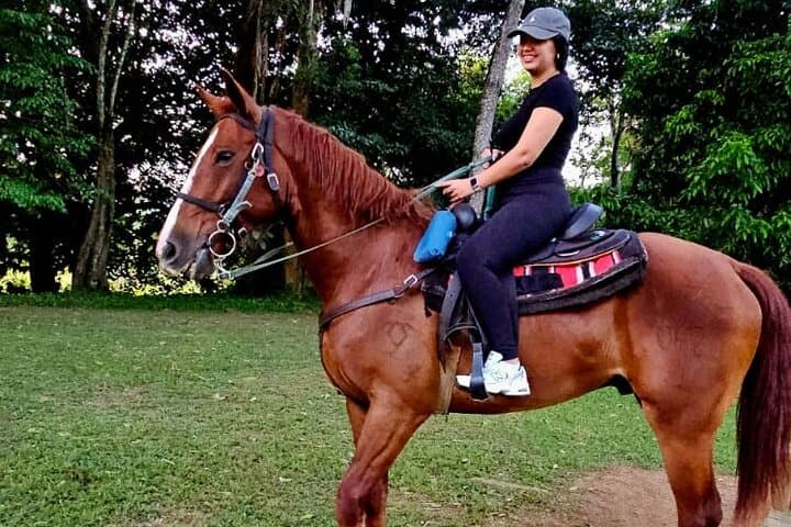 Belize Jungle Horseback Riding Cruise Excursion — Ranch Ride, Creek Crossings & Picnic Lunch photo 5