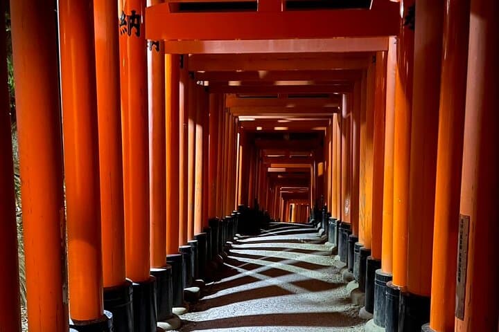 Full-Day E-Bike Tour Through Kyoto's Temples, Rivers & Hidden Alleys photo 3