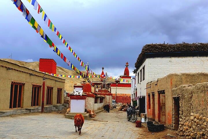 Upper Mustang Trek 14 Days: Lo Manthang Cultural High-Desert Trek photo 2