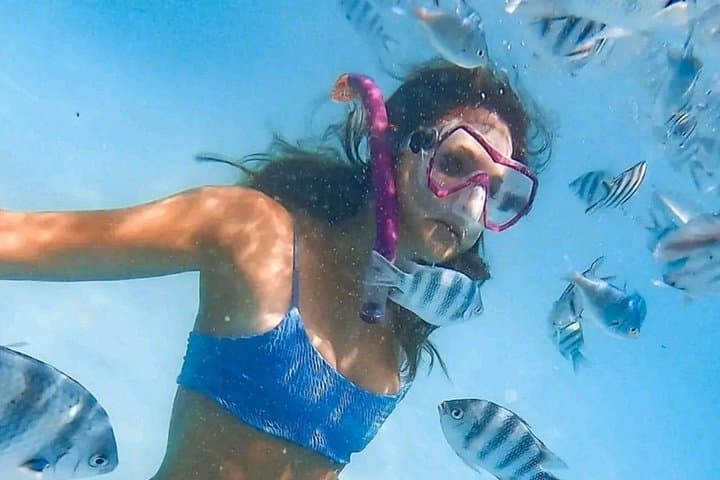 Zanzibar Jozani Forest, Kuza Cave & Blue Lagoon Day Tour with Starfish Beach