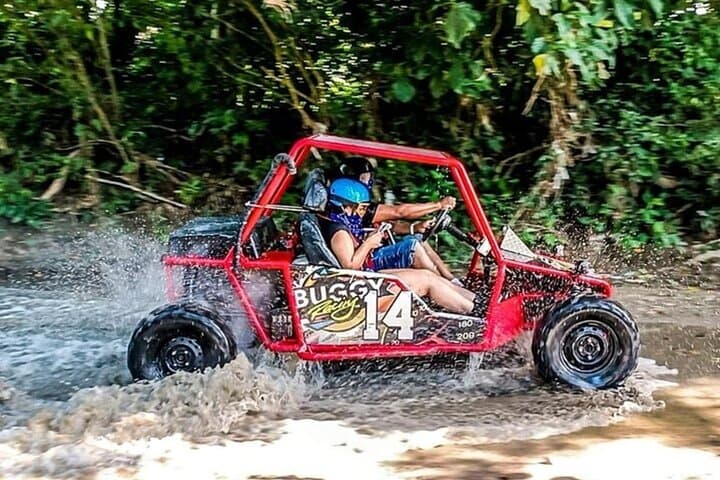 Puerto Plata Buggy & Monkeyland Adventure — ATV Ride, Plantation Visit & Monkey Sanctuary photo 6