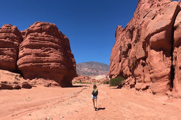 Cafayate & Quebrada de las Conchas Full-Day Tour from Salta — Wine, Red Rock Formations and Valley Views photo 6