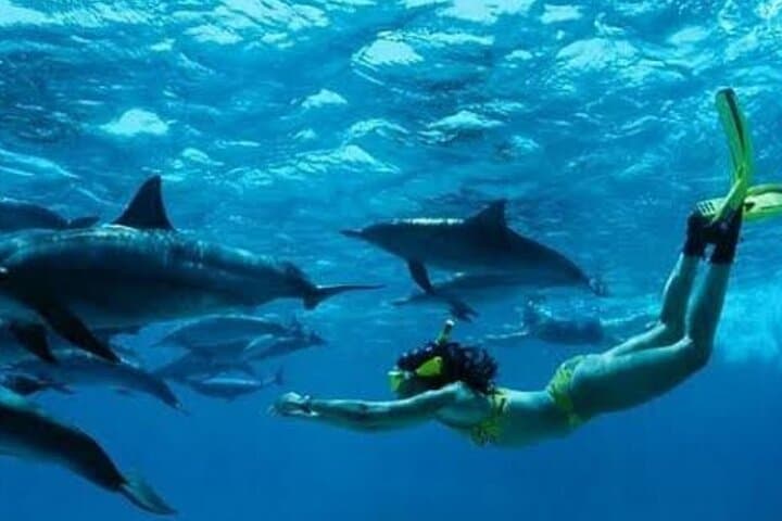 Mnemba Island Dolphins Watching and Snorkeling from Nungwi — Half-Day Boat Trip photo 2