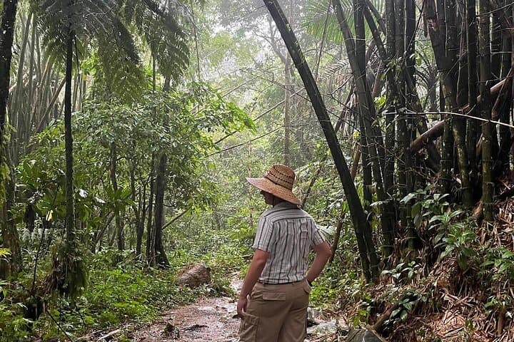 Private El Yunque Rainforest Tour — Custom Hikes & Waterfalls photo 5