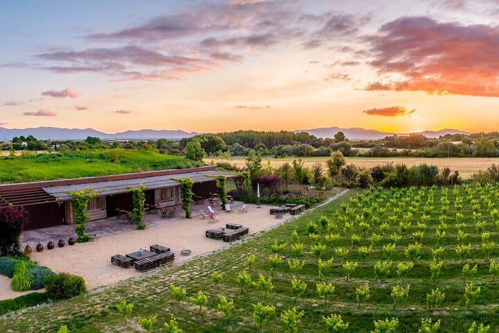 Horse Riding and Wine Tasting in l'Empordà — Ride Vineyards to Clos de Basella photo 5