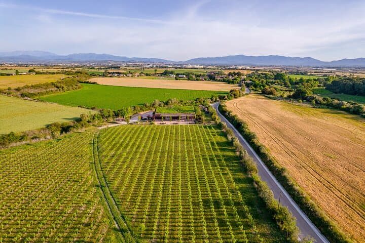 Horse Riding and Wine Tasting in l'Empordà — Ride Vineyards to Clos de Basella photo 6