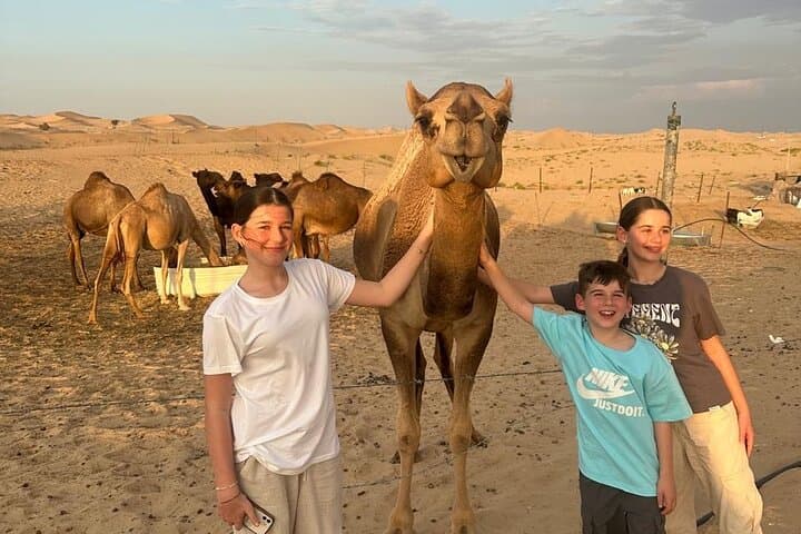 Dubai & Abu Dhabi 2-Day City Tours with Evening Desert Safari