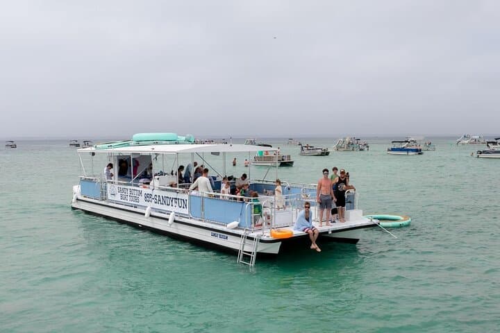Crab Island Adventure — Destin 50ft Boat to the Floating Sandbar photo 2
