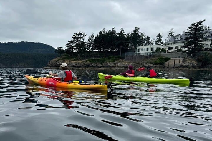 Cafes and Kayaks: Full-Day Rosario-to-Olga Kayak Trip on Orcas Island photo 2