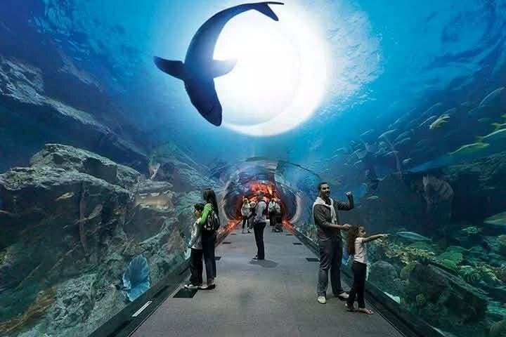 Modern Dubai Private Day Tour: Marina, Palm, Burj & Museum Highlights photo 3