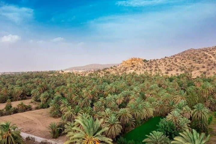 Taroudant Day Trip from Agadir: Walled City, Tiout Oasis & Argan Goats photo 1