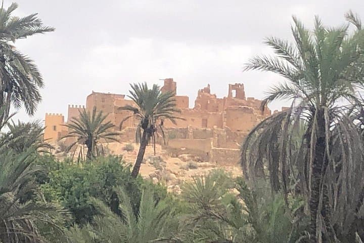 Taroudant Day Trip from Agadir: Walled City, Tiout Oasis & Argan Goats photo 2