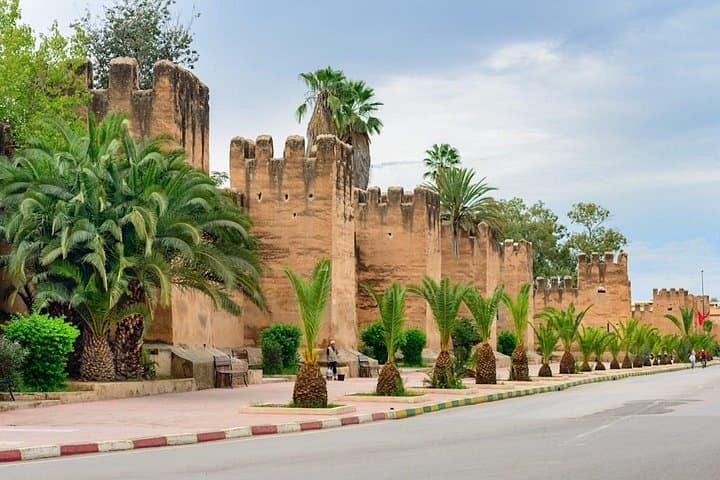 Taroudant Day Trip from Agadir: Walled City, Tiout Oasis & Argan Goats photo 3