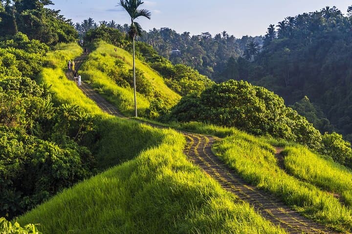 Ubud Story: Guided Walking Tour Through Temples, Palaces & Campuhan Ridge photo 3