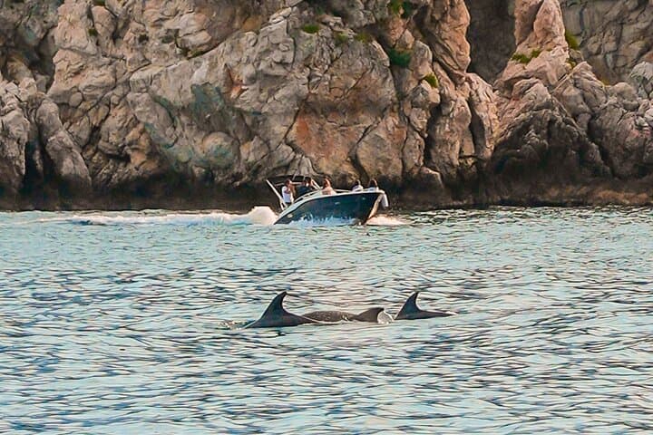 Sunset Dolphin-Watching Boat Tour from Giardini Naxos to Isola Bella photo 3