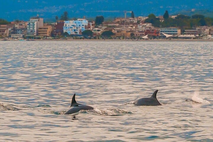 Giardini Naxos to Isola Bella & Blue Grotto: 2-Hour Coastal Boat Tour photo 4
