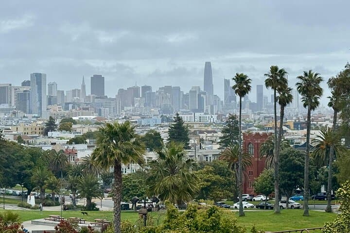 Private San Francisco City Tour in VW ID.Buzz — Electric Van Sightseeing Experience