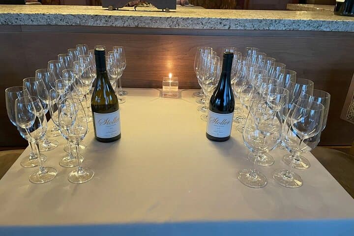 Sommelier-Led Sonoma & Napa Wine Country Tour in an Electric VW Van photo 4